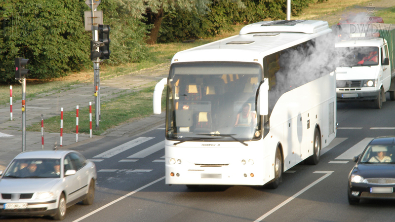 Zdjęcie do pytania